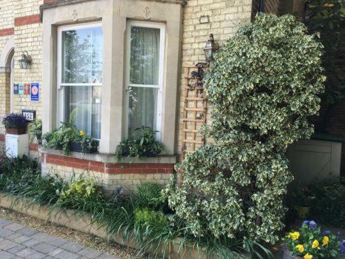 Worth House Guest house Cambridge (Cambridgeshire)